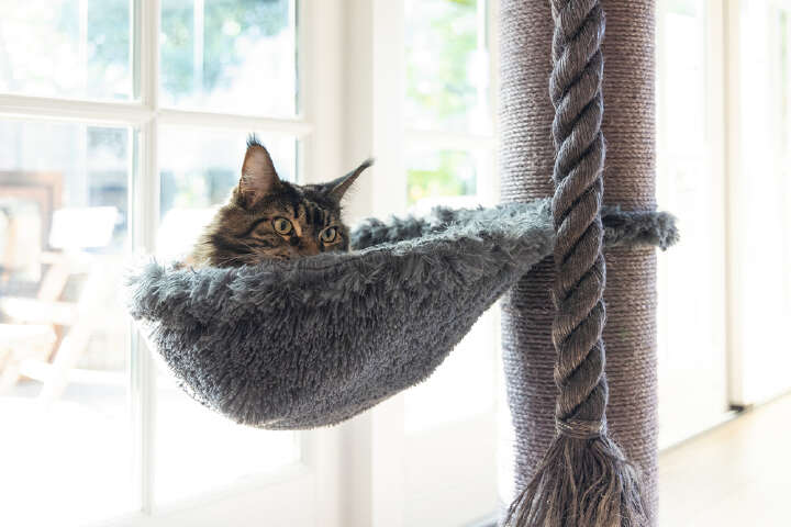 beeztees Kratzbaum Ramiro